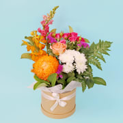 Saffron Sunset - Standard