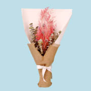 Amazing Amethyst  - Standard