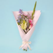 Twilight Fairy - Standard