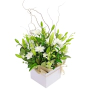 Botanique White Flower Box - Standard