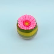 Gerbera Bowl - Standard