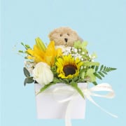 Cuddles & Blooms  - Standard