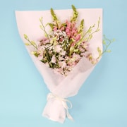 Petals in Pink - Standard