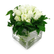 White Rose Vase - Standard