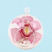 Orchid Orb - Standard