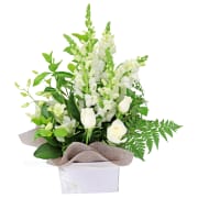 Purr Fection - Standard