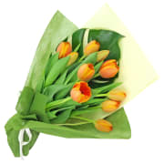 Orange Tulips - Standard