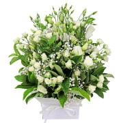 White Serenity - Standard