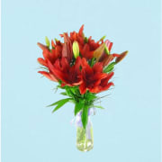 Lilies in a Vase - Deluxe