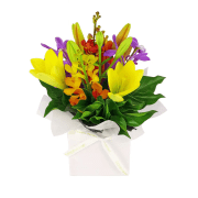 Making Magic Mixed Brights - Standard