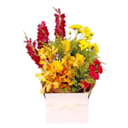 Colourburst Bloom Box - Deluxe