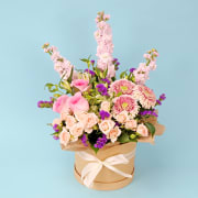 Pet-Safe Petals Hat Box - Standard