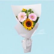 Sunshine Bliss  - Standard