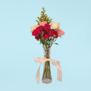 Rosy Mist - Standard