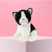 Lucy The Cat  - Standard