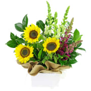 Gardenside Flower Box - Standard