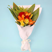 Paradise Blooms - Standard