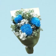 Darling Disbuds - Blue  - Standard