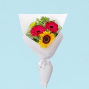 Happy Days  - Standard