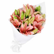 Lily Bunch - Standard