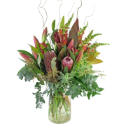 Naturally Aussie - Standard