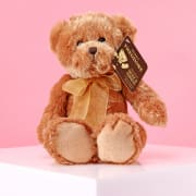 Theodore - Teddy & Friends  - Standard