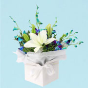 Making Magic - Blue  - Deluxe