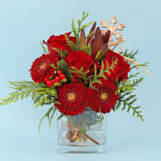 All Is Bright - Standard