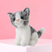 Chloe The Cat - Standard