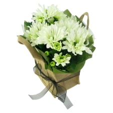 White Chrysanthemum - Standard