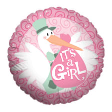 Stork - Baby Girl - Standard