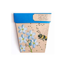 Seeds - Forget Me Not - Standard