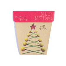 Seeds - Christmas Greetings - Standard