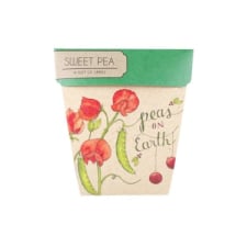 Seeds - Sweet Pea - Standard