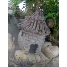 Jungle Livin' - Standard