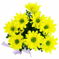 Rustic Potted Chrysanthemum - Standard