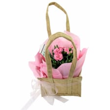 Call Me Carnation - Standard