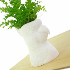 Cockatoo Planter - Standard