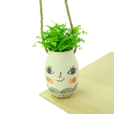 Miss Cosette - Fern - Standard