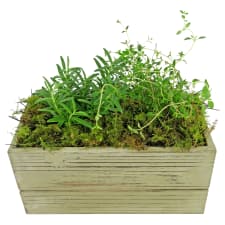 Rosemary & Thyme - Standard