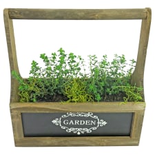 Thyme For Herbs - Standard