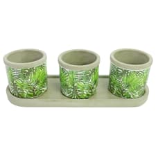 Mini Monstera Palm Pots - Standard