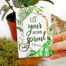 Let Your Dreams Sprout - Standard