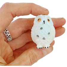 Owl You Need Is Love - Standard