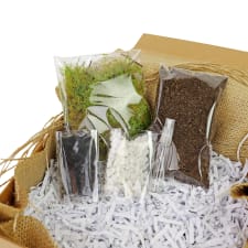 Terrarium Starter Kit - Standard