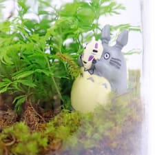 My Totoro Terrarium - Standard