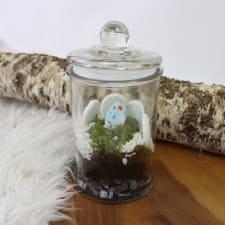 Snowy Owl Terrarium - Standard