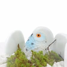 Snowy Owl Terrarium - Standard