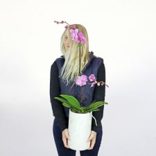 Tall & Small Orchids - Pink - Standard