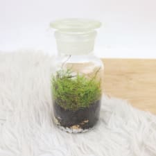 Going Green - Standard
